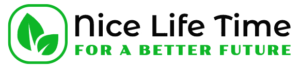 logo nicelifetime